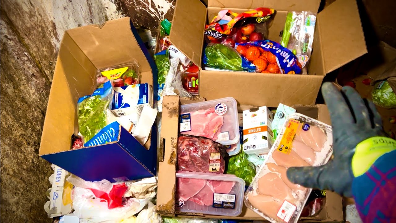 Dumpster Diving Aldi #79 Free Grocery Shopping!