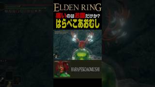 痛いのはお腹だけでは済まないタイプの”あおむし” ELDENRING #エルデンリング  #shorts