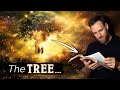 WHY Did GOD CREATE The TREE Of GOOD EVIL