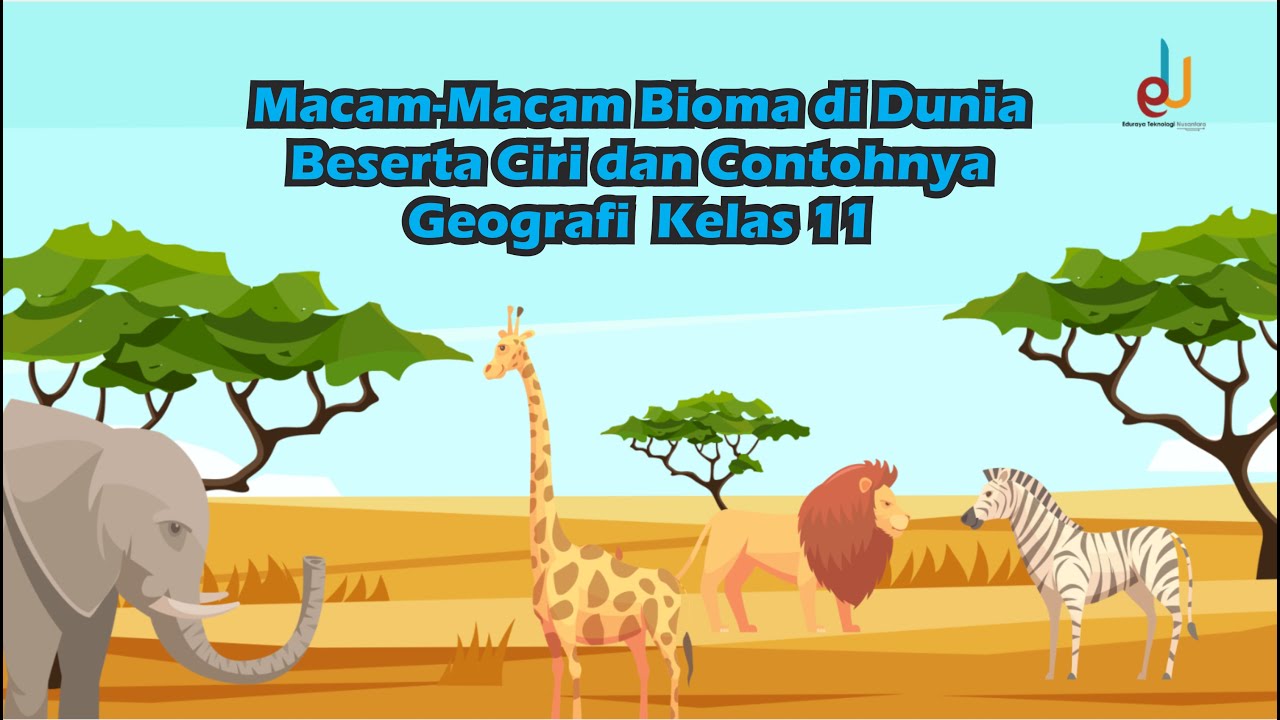 Macam Macam Bioma di Dunia Beserta Ciri dan Contohnya | Geografi  Kelas 11 - EDURAYA MENGAJAR