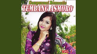 Download lagu Separo Rogo mp3