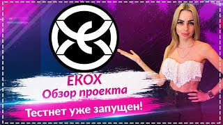 EKOX — Новый лидер Web3 рестейкинга? 🔥 Тестнет уже запущен 🔥 Airdrop за активность 🔥