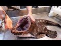 Japanese Food GIANT MONKFISH SASHIMI Tokyo Seafood Japan