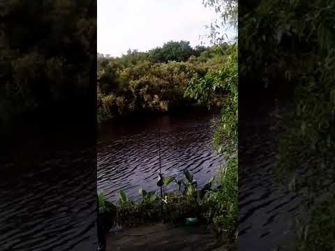 Pesca en villas boas durazno uruguay(2)