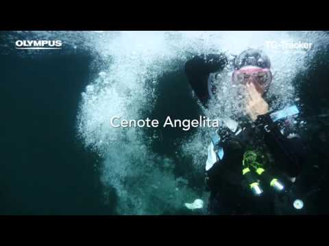 Stylus TG-Tracker Features Video (Diving / EN)