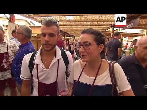 Cheers! The Chianti Classico harvest gets underway