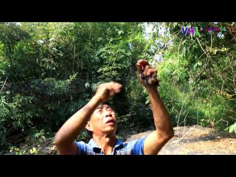 xab muas yos hav zoov part 02