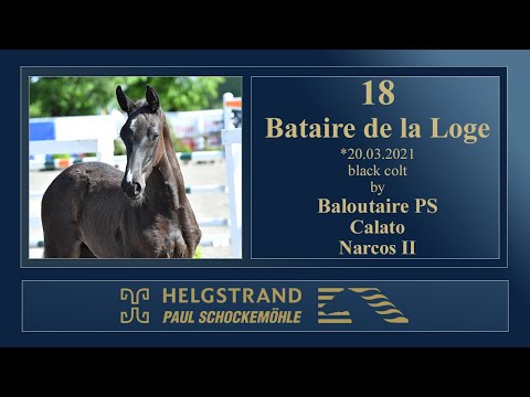 18 Bataire de la Loge by Baloutaire PS - Calato - Narcos II