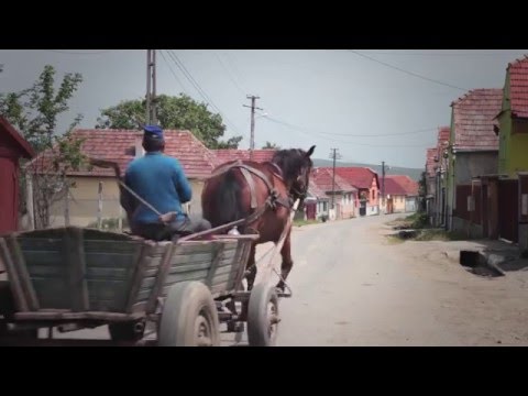 A visit in Bogatu Roman - English