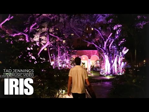 Iris – Goo Goo Dolls (Live Acoustic MUSIC VIDEO by Tad Jennings)