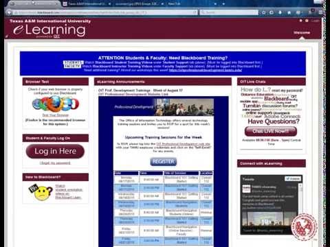 Tamiu Blackboard Tutorial Student Navigation