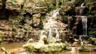 Le parc des Buttes-Chaumont , Paris Nature, Flowers, Zen Meditation Relaxation Aries Media HD V0038