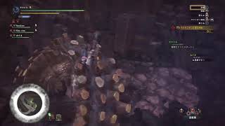 MHW 野良を生きる