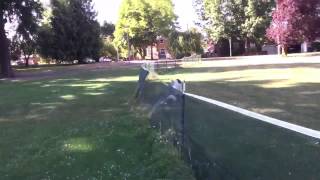 Dog runs into net and does a front flip