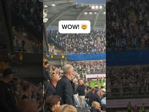 IFK Göteborg Celebrate Their Derby Win v Gais! 🔥#ifkgöteborg #ultras #gothenburg #sweden