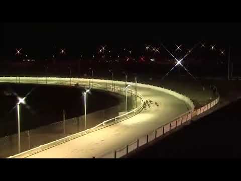 Magical Silas - www starsports bet Stakes