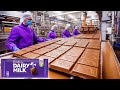 How Cadbury Dairy Milk Chocolate Are Made In Factory Captain Discovery