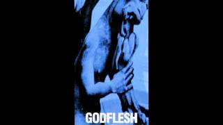Godflesh - Control Freak