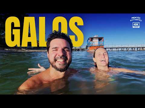 A gente não queria ir embora | Galos, Galinhos RN | Vlog viagem (4K)