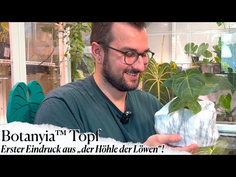 Designer Blumentopf: Was taugt der 20€ Übertopf aus der Gründershow?