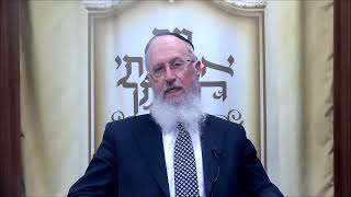 הגאון הרב אברהם יוסף שליט＂א מה המטרה שמברכים את ברכת האילנות  אדר תשפ"ו (רבנים שונים) - התמונה מוצגת ישירות מתוך אתר האינטרנט יוטיוב. זכויות היוצרים בתמונה שייכות ליוצרה. קישור קרדיט למקור התוכן נמצא בתוך דף הסרטון