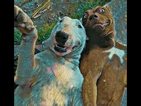 Delenyer FT. Raz El Atrevido - Flou Que Te Traje