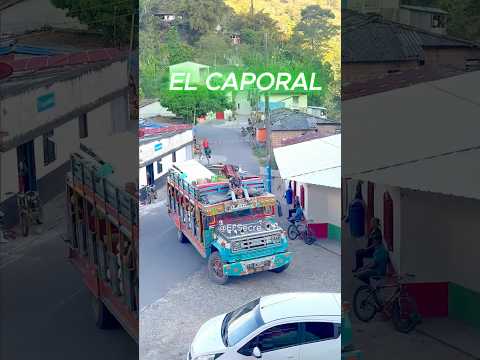 “EL CAPORAL: Orgullo sobre ruedas del Águila, Valle del Cauca 🚍💛💚”