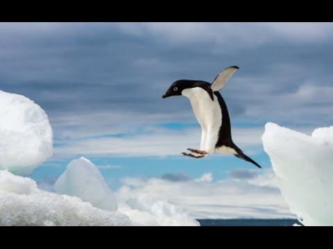 Polar Course Quick Tip: Stop the Action