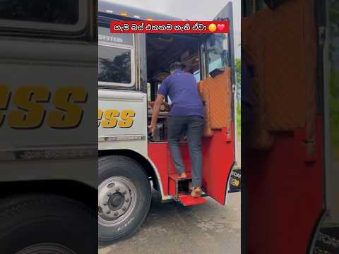 හැම බස් එකකම නැති ඒවා 😌❤️#trending #viral #𒆜foryou #srilanka #bus #shorts #automobile #1million