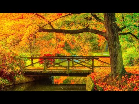 Beautiful Relaxing Hymns, Peaceful  Soothing  Music, "Autumn Song Morning Sunrise" by Tim Janis