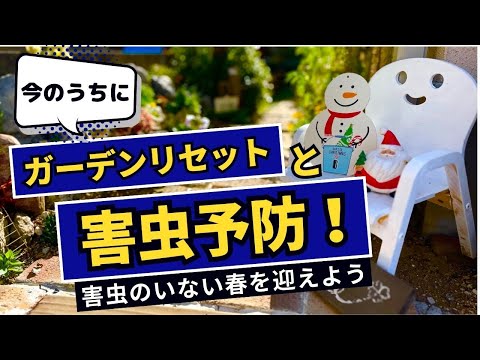 冬の終わりに、いつ、どのように庭の植物に水をやり始めますか？  庭園