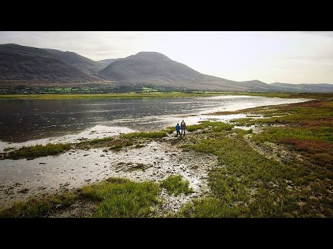 Video Thumbnail: Effektiv im Kampf gegen den Klimawandel: Salzwiesen