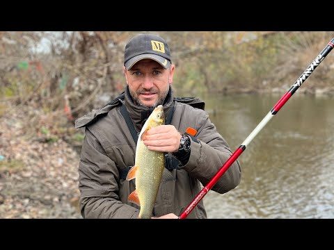 Juzna Morava - Skobalj KLEN Mrena na TRAVU - Pecanje na plovak