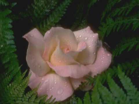 Dertli dolap Ibrahim Basaran yeni ilahiler 2016