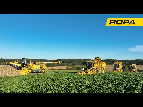 TRANSFORMER und HEKTARFRESSER – ROPA Maus 6 mit zwei Tiger 6S & Panther 2S