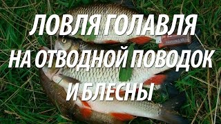 Поводок для ловли голавля на спиннинг