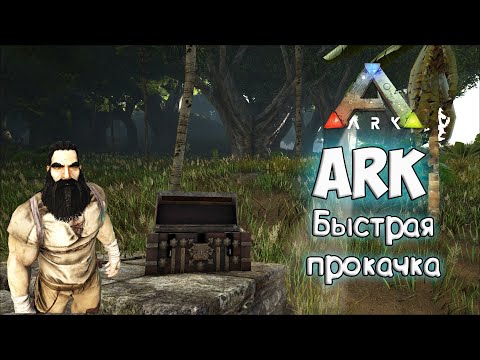 Быстрый старт прокачка персонажа на записках. Топовый гайд по игре ARK: Survival Evolved.