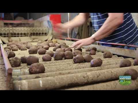 Comber Farmers Market Celebrate Harvest