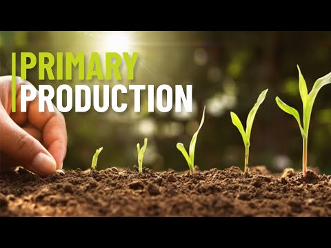 Primary Production - haccp.com