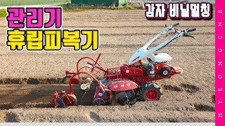 관리기 휴립피복기 사용법 감자 심기 비닐멀칭 간단히 끝내기!