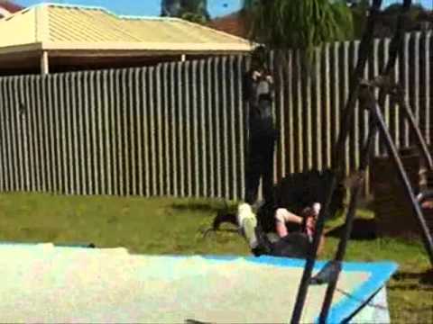 Mikanos vs Dan Zeplin, Halloween Hell, 2011, ICWS