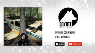 Deux animaux Music Video