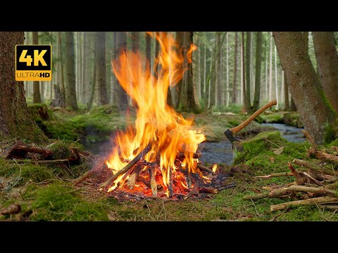 4K 📺 Spring Forest Campfire - Sounds of Birdsong, Stream & Crackling Fire