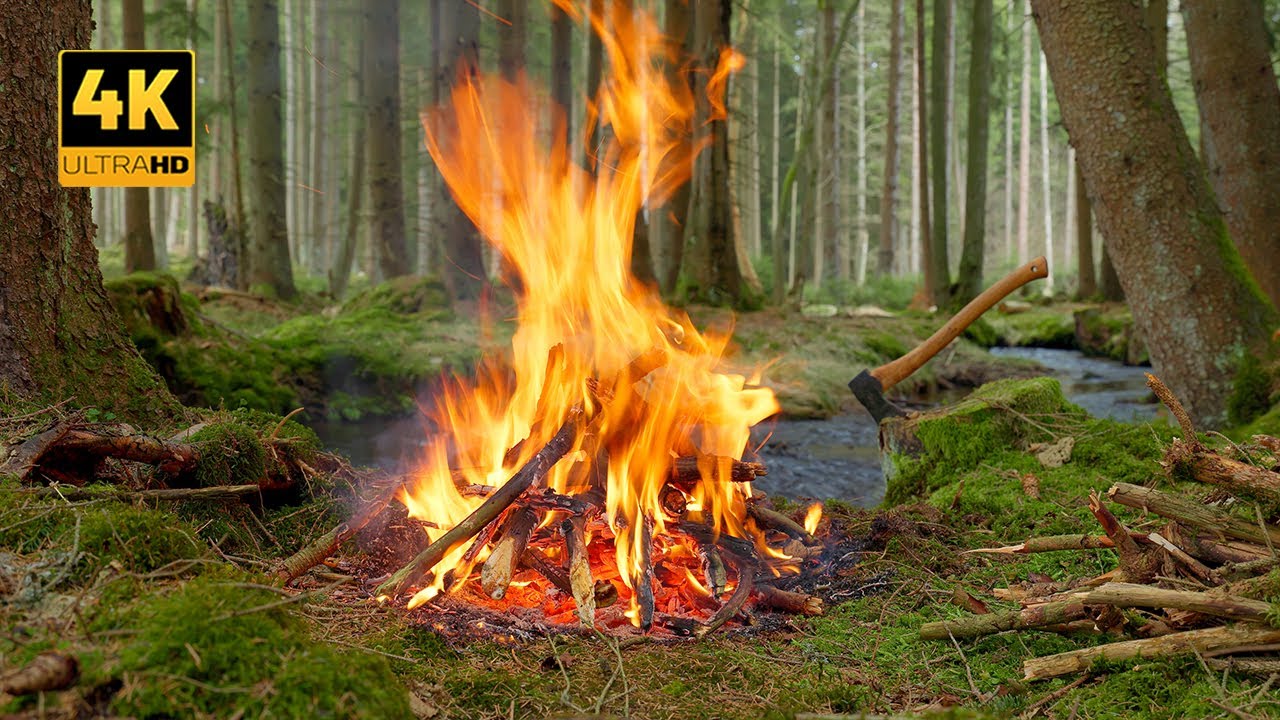 4K 📺 Spring Forest Campfire - Sounds of Birdsong, Stream & Crackling Fire