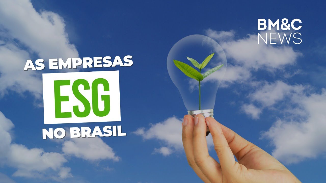 O QUE É ESG? ENTENDA MAIS SOBRE INVESTIMENTOS SUSTENTÁVEIS E EMPRESAS QUE ADOTAM A MEDIDA
