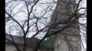 Federico Aubele - Postales