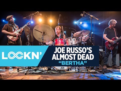 "Bertha" - Joe Russo's Almost Dead | LOCKN' | Relix