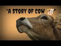 An Inspiring Story Of Cow II Must Watch Inpiration Shorts