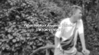 Download lagu pilihan hatiku x anugerah terindah (tiktok version) mp3