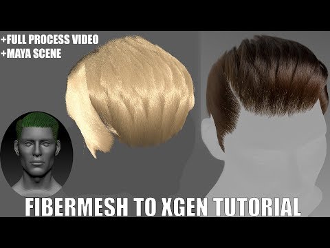 Tutorial Male Hair Process Hair Zbrush Fibermesh to Xgen Maya (PREV VIDEO)